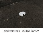 Small photo of Pollution from throwing away tissue items in our throwaway society