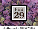 Small photo of Numbers on February 29. The number of days twenty-ninth. Concept:Calendar , Astronomy , Recorded date ,Determine , Diary, Deadline, anniversary ,holiday