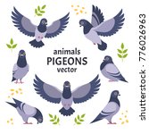 Pigeons Collection. Vector...