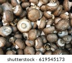 Royal Mushroom Champignons....