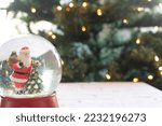 Santa Snow Globe With Tree Bokeh