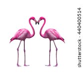 Flamingo Birds Love Heart Free Stock Photo - Public Domain Pictures