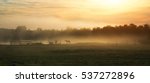 Silhouette Of Horses In A Foggy ...