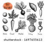 root vegetables set. ink sketch ... | Shutterstock .eps vector #1697655613