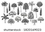Big Collection Of Trees. Ink...