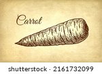 ink sketch of carrot on old... | Shutterstock .eps vector #2161732099