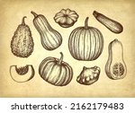 collection of pumpkins. ink... | Shutterstock .eps vector #2162179483