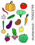 hand drawn vegetable vegan food ... | Shutterstock . vector #793023799
