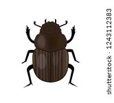Scarab Beetle Insect Icon  Flat ...
