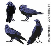 Crow Vector Set  Raven Vector...