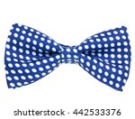 Blue Bowtie With Dotted Pattern ...