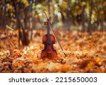 Small photo of instrument wooden violin with bow stands in a spring sunny park among fallen golden foliage