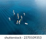 Aerial view of a windsurfing school training over turquoise sea with copy space