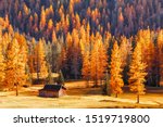 Seasonal autumnal scenery in highlands. Alpine landscape - wooden cabin circled by colorful yellow and red fall trees in Dolomite mountains, Southern Tyrol area. Popular travel destination in autumn.
