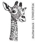 Giraffe Baby Head. Drawn By...