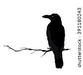 Vector Silhouette Of A Crows In ...