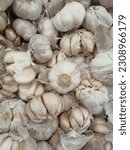 Small photo of A mesmerizing snapshot captures the essence of simplicity as unblemished garlic bulbs lay stacked, exuding a raw and earthy aroma that hints at the rich flavors awaiting discovery.