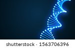 dna helix spiral 3d loop  gene... | Shutterstock . vector #1563706396