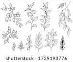 vector hand drawn set of... | Shutterstock .eps vector #1729193776