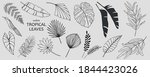 set of hand drawn vector... | Shutterstock .eps vector #1844423026