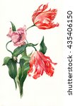Watercolor Tulips Botanical...