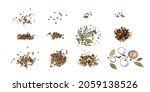 Small photo of Set of allspice pils isolated on white background top view. Jamaica pepper, allspice peppercorns or myrtle pepper collection