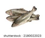 Raw trout isolated. Fresh cutthroat, three steelhead fish, whole rainbow trout, trutta, fario, Oncorhynchus mykiss, freshwater trouts on white background top view