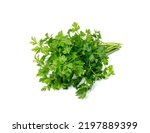 Small photo of Fresh parsley bunch isolated. Cilantro leaves, raw garden parsley twigs pile, chervil sprig, corriender leaves, bunch of greenery on white background top view