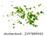 Fresh chopped parsley isolated. Sliced cilantro leaves, raw garden parsley, chervil, corriender pieces on white background top view