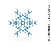 snowflake vector icon isolated... | Shutterstock .eps vector #750373903
