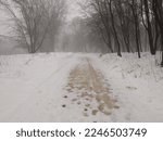 Small photo of Path in Ft. Snelling State Park