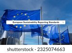 Small photo of European Union flags with search bar and query for 'European Sustainability Reporting Standards'