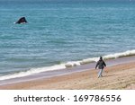 One Southern Right Whale On "el ...