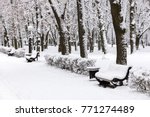 Snowy Benches And Bushes Under...