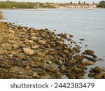 Wide view over  rocks in the...