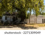 Small photo of San Juan Bautista, California, July 2016: Vicky's Cottage, named after one of its past owners, Victoria Zanetta, with a goldenrain tree (Koelreuteria paniculata) in full bloom in the front yard