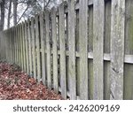 Small photo of A shadowbox fence with weathered grey wood, trailing off in the distance with brown leaves on the ground.