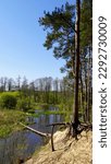 Small photo of poland spring landscape park in bolimow, Bolimowski landscape park, river Rawka meandres, wood tree