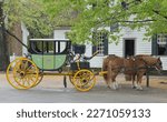 Horse And Carriage In...