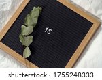 Small photo of One dollar sign on a black board with a green plant on it, nihilistic sign