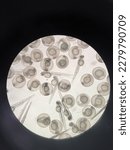 Small photo of Zebrafish embryos begin to hatch around 2-3 days post fertilisation.