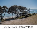 Small photo of Beautiful landscape along Great Ocean Road of Victoria, Australia. PC: Binay Guchhait