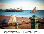 Beach View Of Brighton Pier The ...