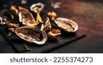 Beautiful Set Of Raw Oysters...
