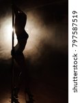 attractive body dancers | Shutterstock . vector #797587519