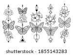 set of flower butterflies.... | Shutterstock .eps vector #1855143283