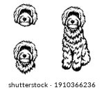 set of dog breeds goldendoodle. ... | Shutterstock .eps vector #1910366236