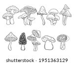 set of different mushrooms.... | Shutterstock .eps vector #1951363129