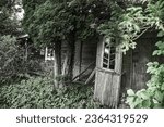 Small photo of Old wooden house broken, destroyed, unused. Unused. Surrounded by trees.