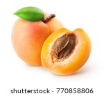 Isolated apricots. Fresh whole apricot fruit with leaf and half isolated on white background with clipping path